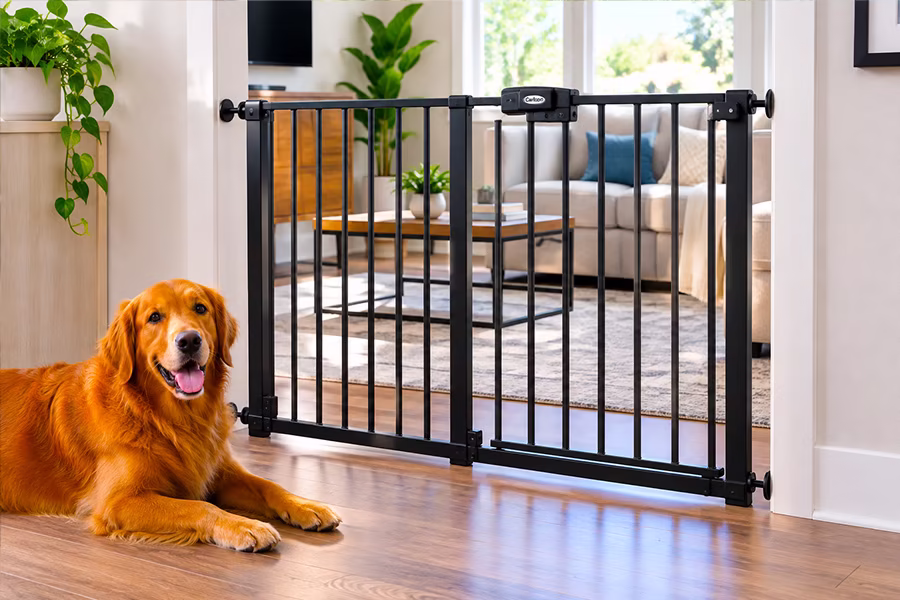 Pet Gates in Albuquerque